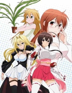 Sekirei: Hajimete no Otsukai (Sekirei OVA, Sekirei Special) [2009]