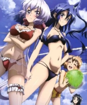 Senki Zesshou Symphogear G: Senki Zesshou Shinai Symphogear (Senhime Zesshou Symphogear G) [2014]