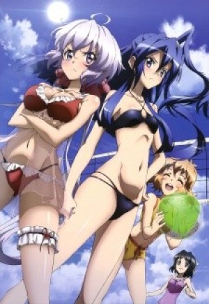 Senki Zesshou Symphogear G: Senki Zesshou Shinai Symphogear (Senhime Zesshou Symphogear G) [2014]