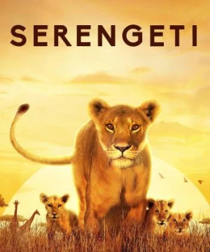 Serengeti (Serengeti) [2019]