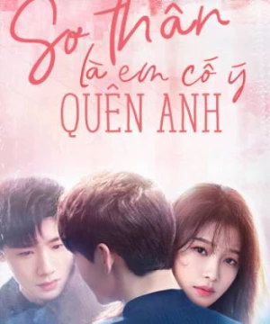 Sơ Thần, Là Em Cố Ý Quên Anh (Irreplaceable love ) [2020]