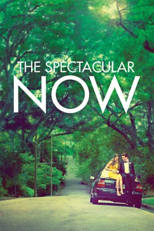 Thực Tại Hoàn Mỹ (The Spectacular Now) [2013]