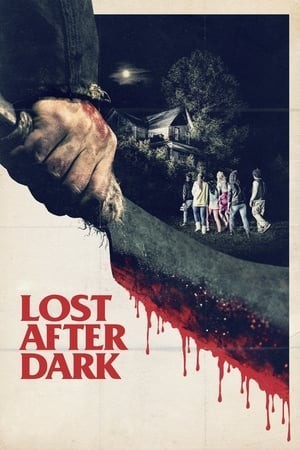 Sau Bức Màn Đêm (Lost After Dark) [2014]