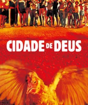 Thành Phố Của Chúa (City Of God) [2002]