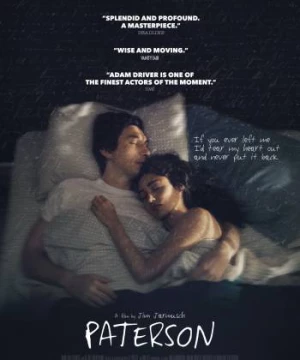 Thành Phố Mộng Mơ (Paterson) [2016]