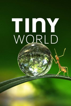 Thế Giới Siêu Nhỏ (Phần 1) (Tiny World (Season 1)) [2019]