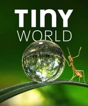 Thế Giới Siêu Nhỏ (Phần 1) (Tiny World (Season 1)) [2019]