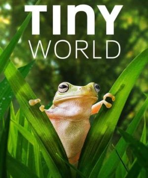 Thế Giới Siêu Nhỏ (Phần 2) (Tiny World (Season 2)) [2020]