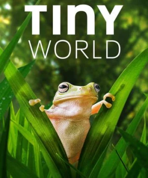 Thế Giới Siêu Nhỏ (Phần 2) (Tiny World (Season 2)) [2021]