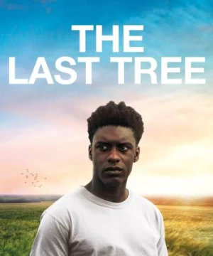 The Last Tree (The Last Tree) [2019]