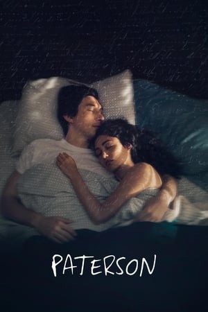 Thị Trấn Paterson (Paterson) [2016]