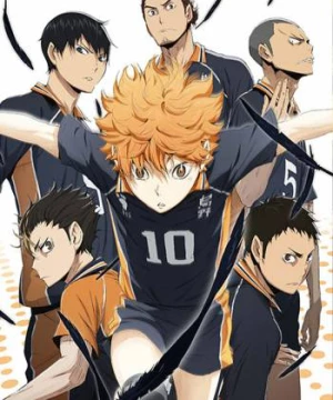 Thiếu niên bóng chuyền (Haikyu!!) [2014]