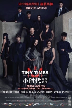 Tiểu Thời Đại 2.0 (Tiny Times 2.0) [2013]