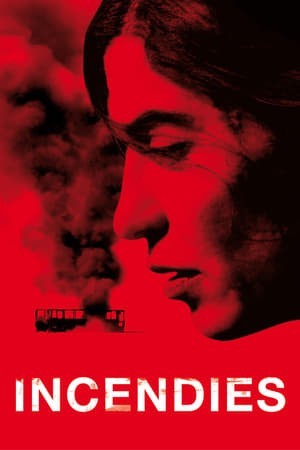 Tìm Tung Tích Mẹ (Incendies) [2010]