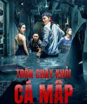 Trốn Chạy Khỏi Cá Mập (Escape the Shark) [2022]