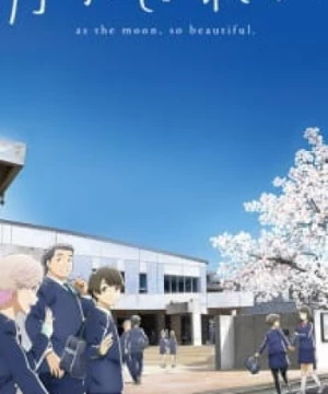 Tsuki ga Kirei (The Moon is Beautiful, As the Moon, So Beautiful) [2017]