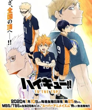 Vua Bóng Chuyền (Phần 4) (Haikyu!! S4) [2020]