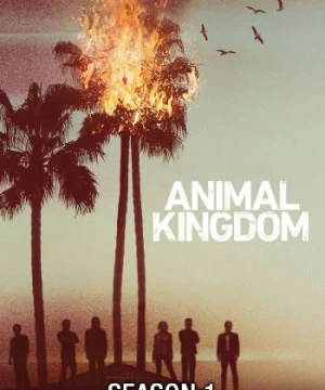 Vương quốc động vật (Phần 1) (Animal Kingdom (Season 1)) [2016]