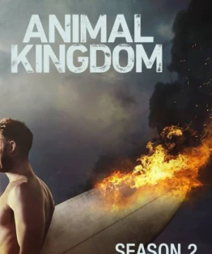 Vương quốc động vật (Phần 2) (Animal Kingdom (Season 2)) [2017]