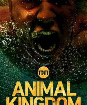 Vương quốc động vật (Phần 3) (Animal Kingdom (Season 3)) [2018]