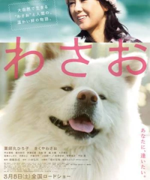 Wasao (Wasao) [2011]