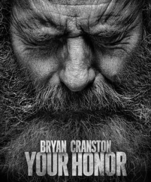 Your Honor (Phần 2) (Your Honor (Season 2)) [2023]